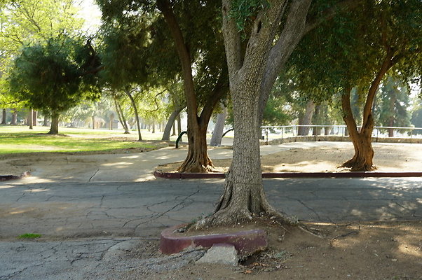 Vets.Park.Sylmar.Area.3.10