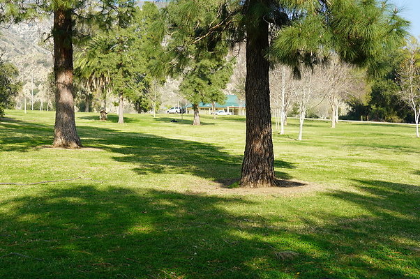 Vets.Park.Sylmar.Area.3.05