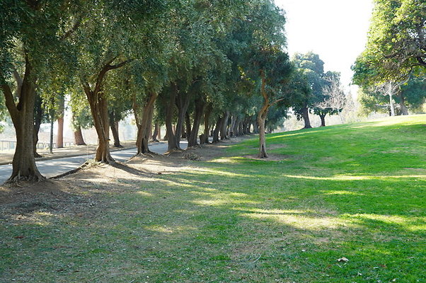 Vets.Park.Sylmar.Area.3.12