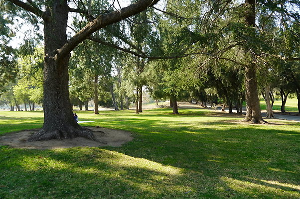 Vets.Park.Sylmar.Area.2.03