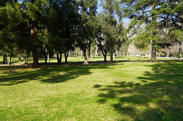 Vets.Park.Sylmar.Area.2.12