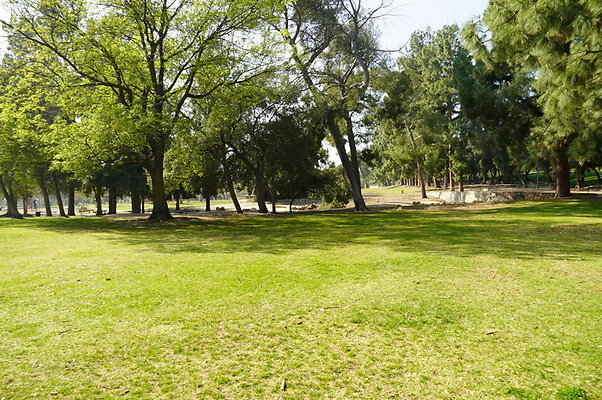 Vets.Park.Sylmar.Area.2.09