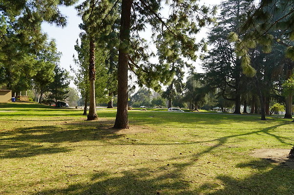 Vets.Park.Sylmar.Area.2.07