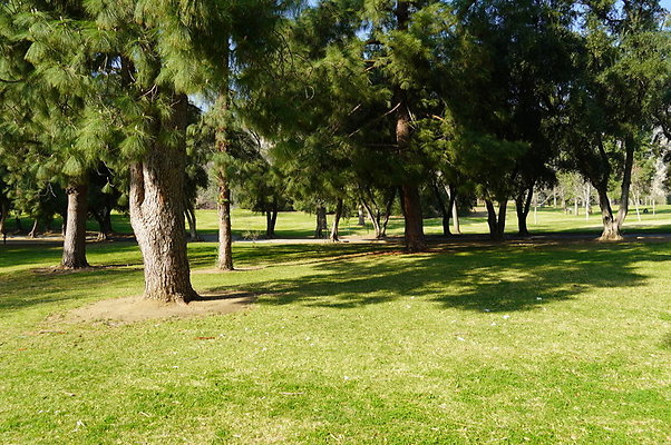 Vets.Park.Sylmar.Area.2.11