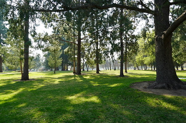 Vets.Park.Sylmar.Area.2.02