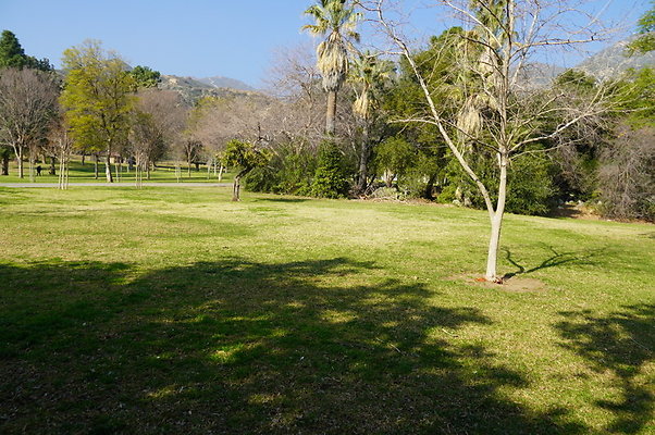 Vets.Park.Sylmar.Area.1.11