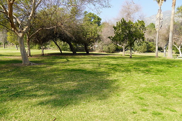 Vets.Park.Sylmar.Area.1.05