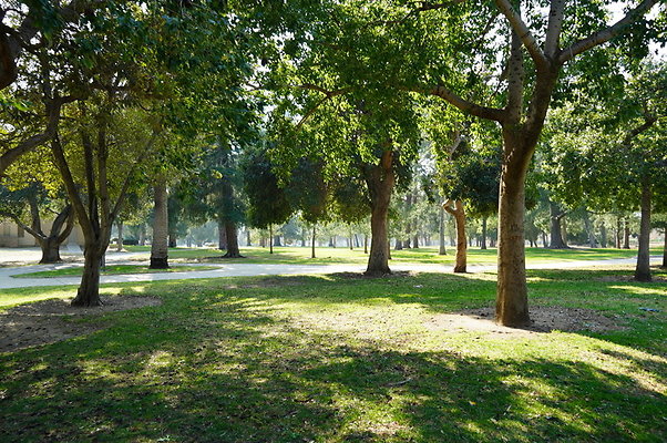 Vets.Park.Sylmar.Area.1.08
