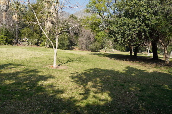 Vets.Park.Sylmar.Area.1.12
