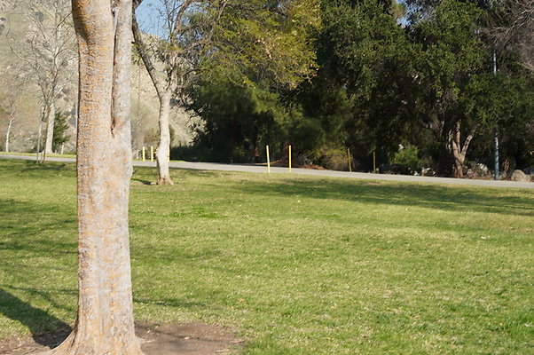 Vets.Park.Sylmar.Area.4.05
