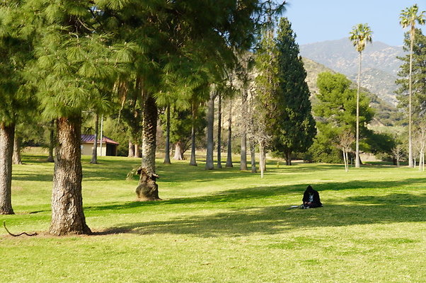 Vets.Park.Sylmar.Area.4.18