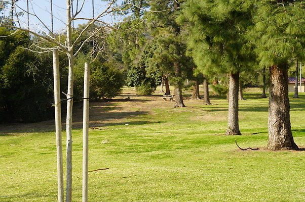 Vets.Park.Sylmar.Area.4.17