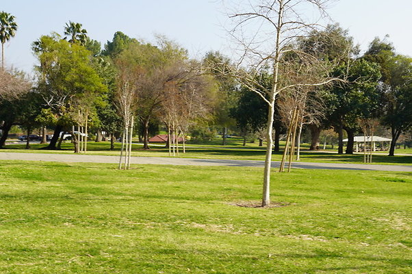 Vets.Park.Sylmar.Area.4.08