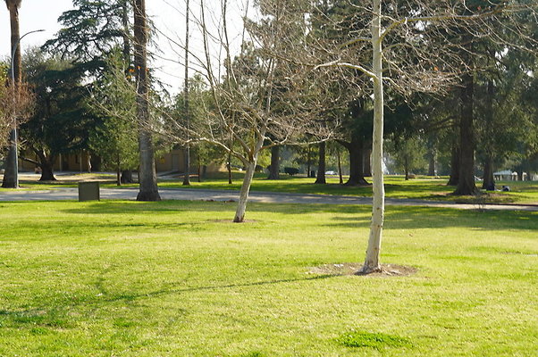 Vets.Park.Sylmar.Area.4.10