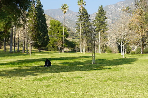 Vets.Park.Sylmar.Area.4.02
