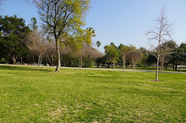 Vets.Park.Sylmar.Area.4.24