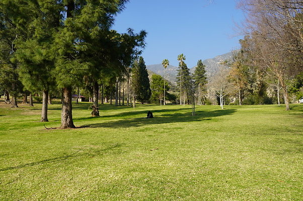 Vets.Park.Sylmar.Area.4.21