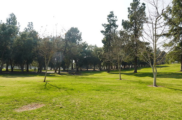 Vets.Park.Sylmar.Area.4.27