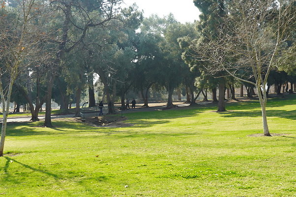 Vets.Park.Sylmar.Area.4.13