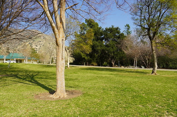 Vets.Park.Sylmar.Area.4.23