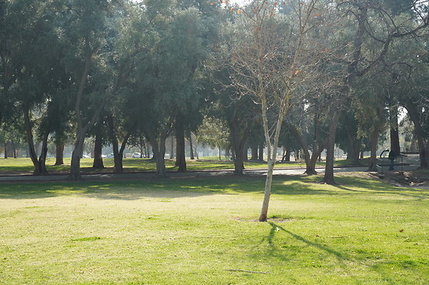 Vets.Park.Sylmar.Area.4.12