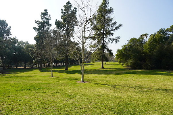 Vets.Park.Sylmar.Area.4.19