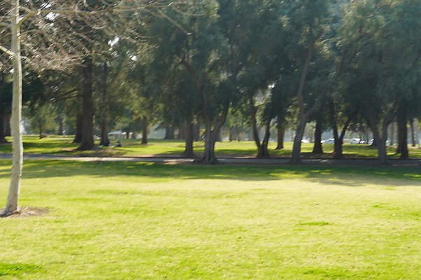 Vets.Park.Sylmar.Area.4.11