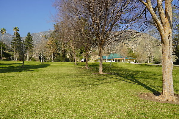 Vets.Park.Sylmar.Area.4.22