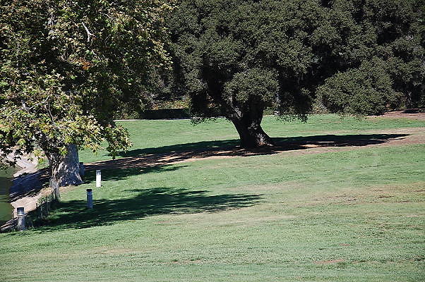 DSC 0350