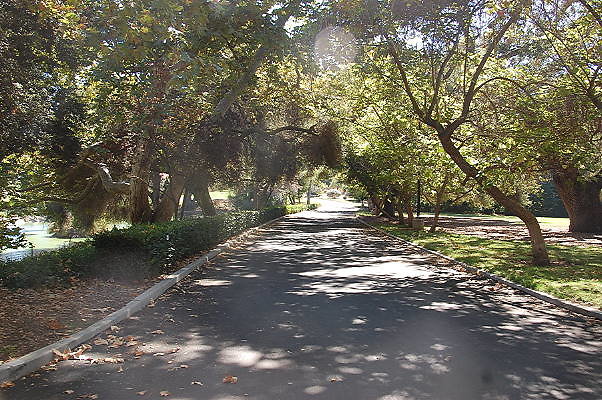 DSC 0371