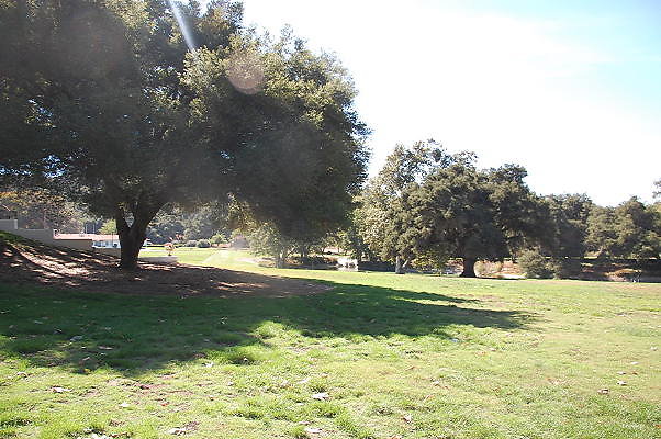 DSC 0354