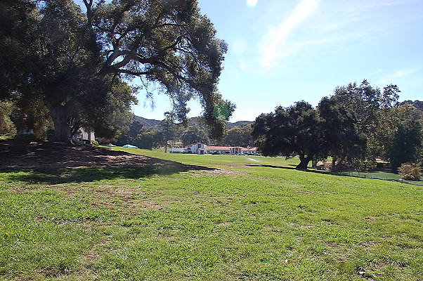 DSC 0352