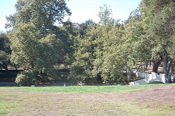 DSC 0361