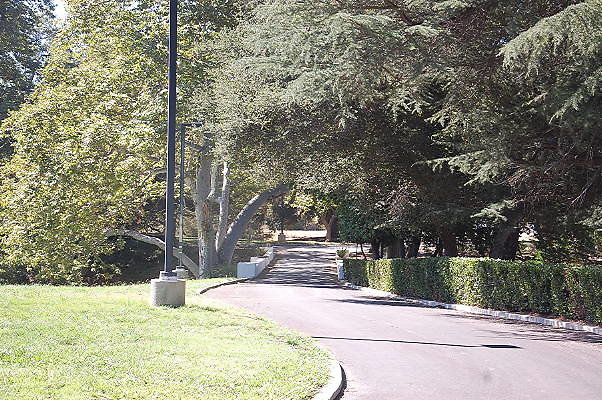 DSC 0366
