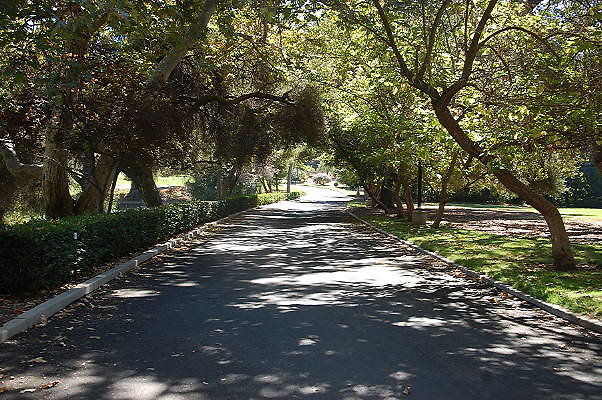 DSC 0373