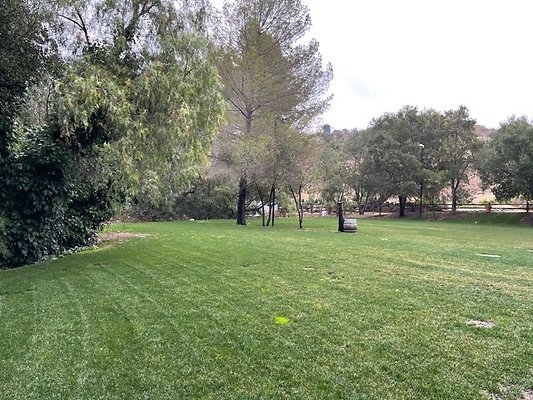calimigos.Grass.BU.04