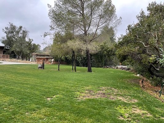 calimigos.Grass.BU.07