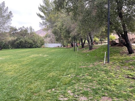 calimigos.Grass.BU.03