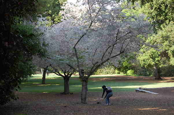 Descanso.Main.Lawn.02
