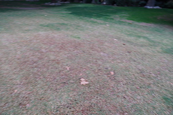 Middle.Ranch.LV.Terr.East.26