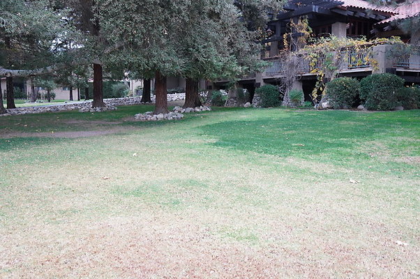 Middle.Ranch.LV.Terr.East.12