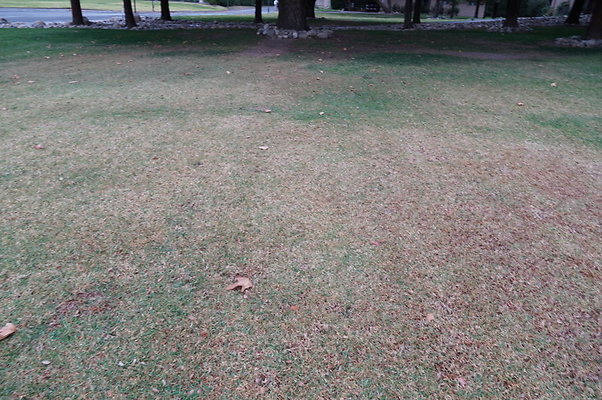 Middle.Ranch.LV.Terr.East.25