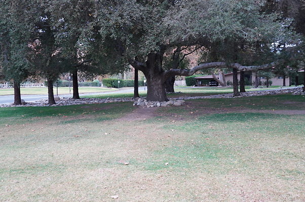 Middle.Ranch.LV.Terr.East.11