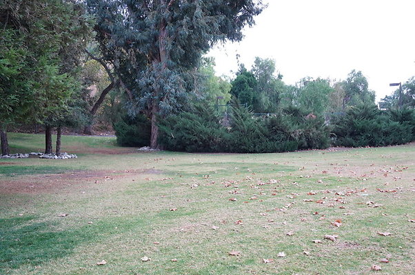 Middle.Ranch.LV.Terr.East.04