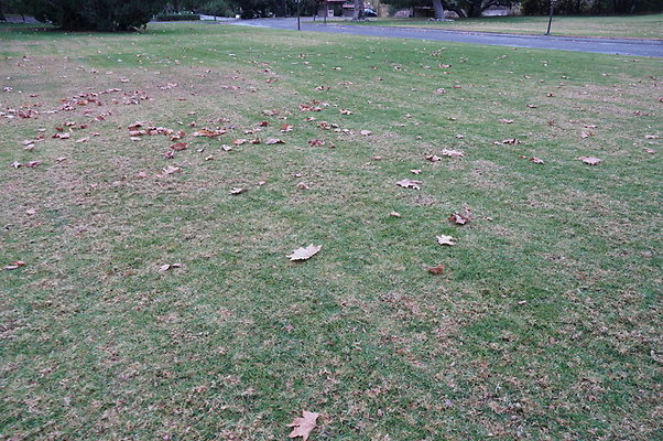 Middle.Ranch.LV.Terr.East.21