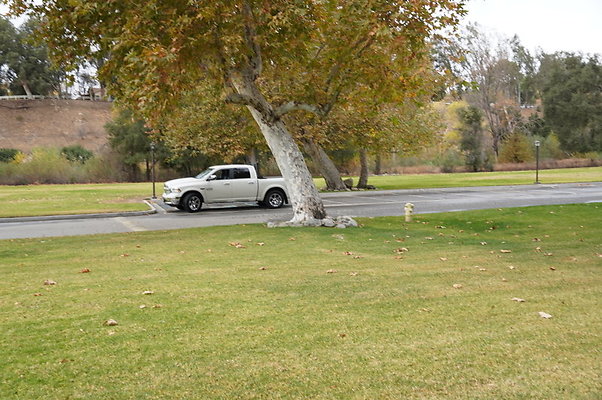 Middle.Ranch.LV.Terr.East.09