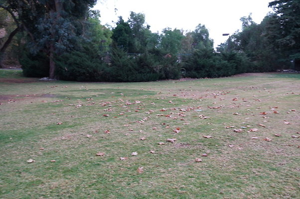 Middle.Ranch.LV.Terr.East.18