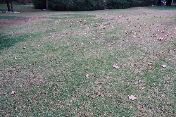 Middle.Ranch.LV.Terr.East.19