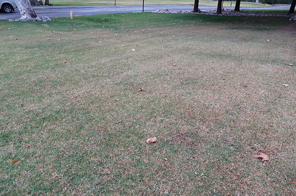 Middle.Ranch.LV.Terr.East.24