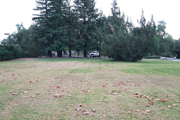 Middle.Ranch.LV.Terr.East.05